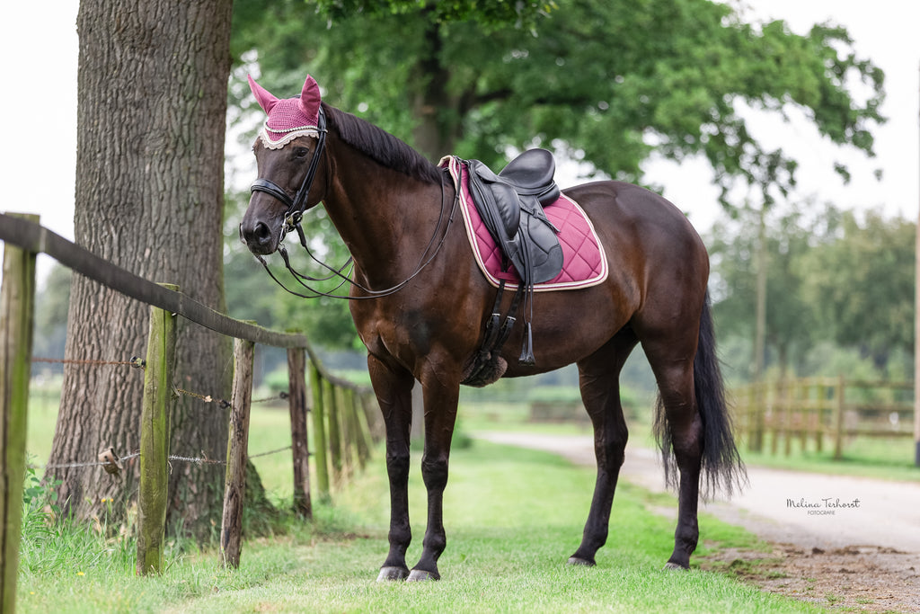 Schabrackenset – BEERE