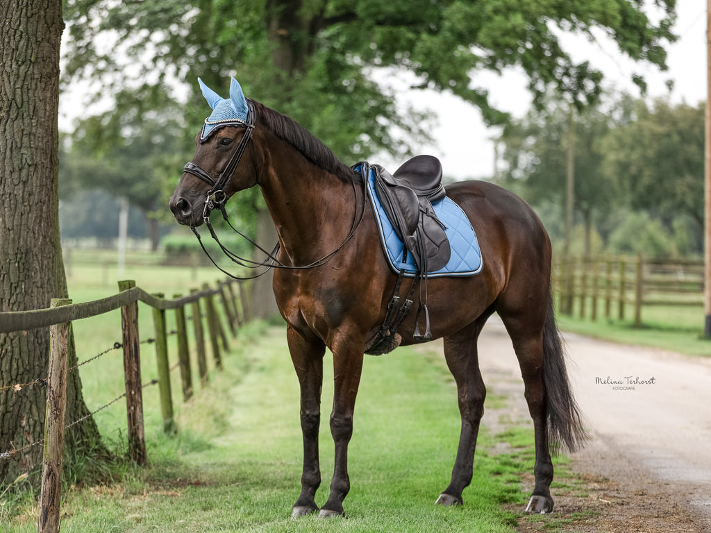 Schabrackenset – BABYBLAU