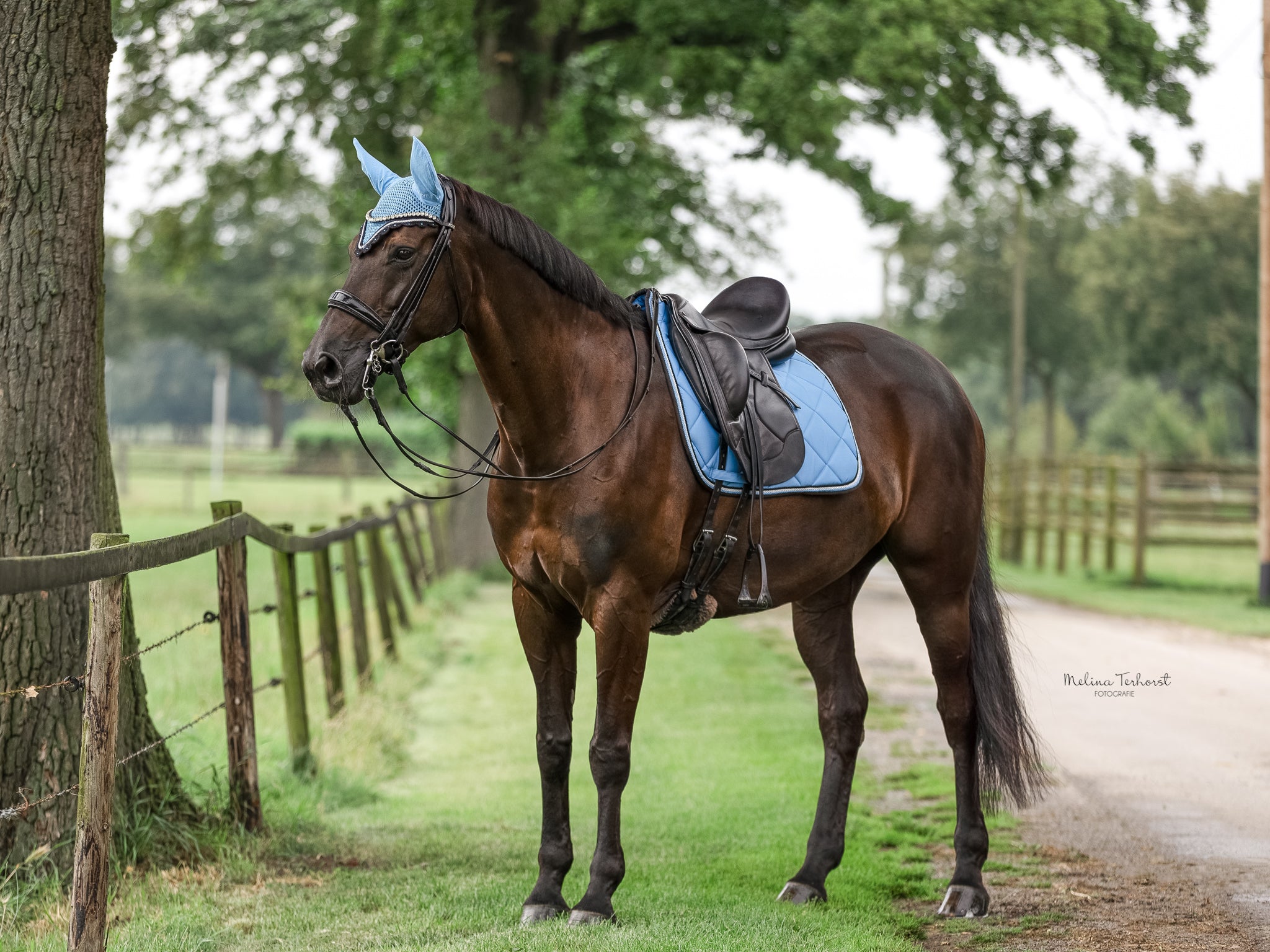 Schabrackenset – BABYBLAU